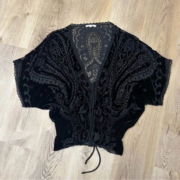 Johnny Was Black Velvet Semi Sheer Blouse with Embroidered Detailing - Picture 6 of 8